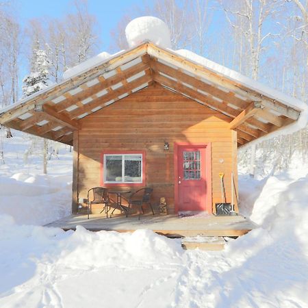Birch Cabin Talkeetna Eksteriør bilde