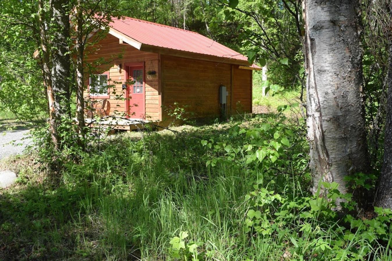 Birch Cabin Talkeetna Eksteriør bilde