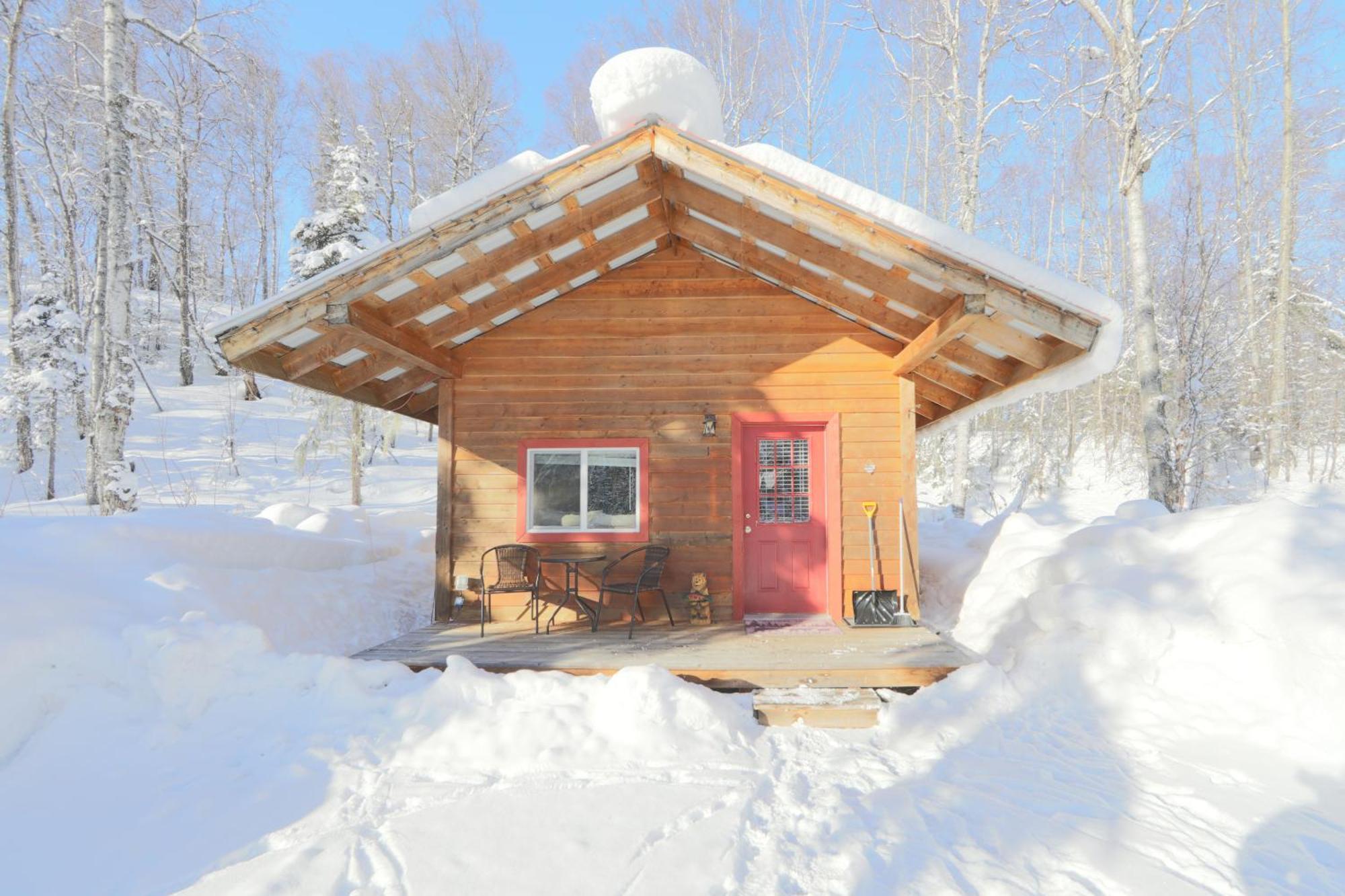 Birch Cabin Talkeetna Eksteriør bilde